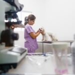 Veterinary Technicians: The Backbone of Animal Healthcare