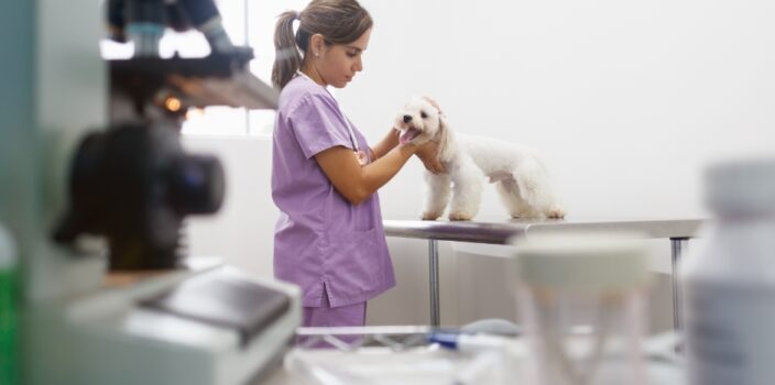 Veterinary-Technicians-The-Backbone-of-Animal-Healthcare.jpg