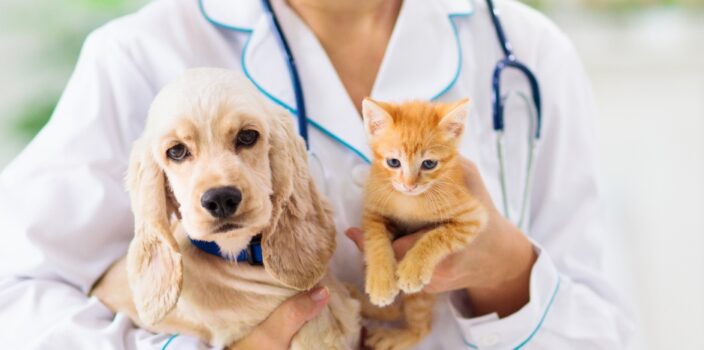 When to Schedule Vet Visits for Puppies and Kittens: A Comprehensive Guide